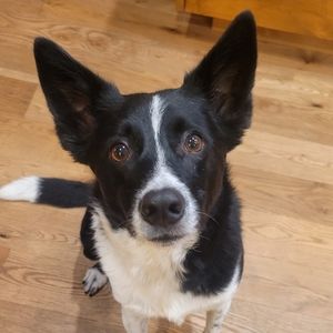 Meet your Posher, Kate